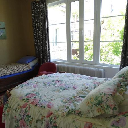 Vue Sur Chateau Et Loire โซมูร์ ภายนอก รูปภาพ