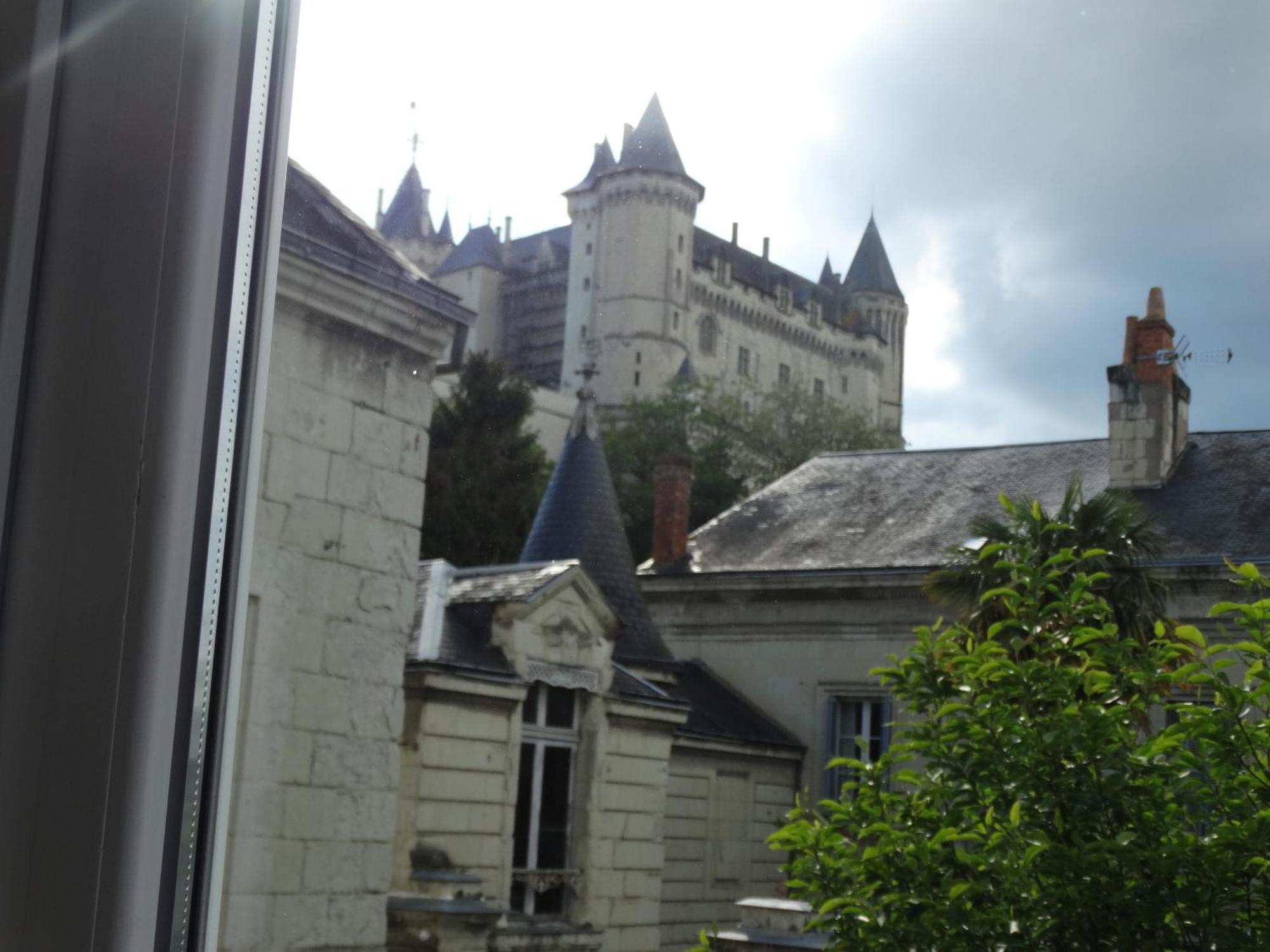 Vue Sur Chateau Et Loire โซมูร์ ภายนอก รูปภาพ